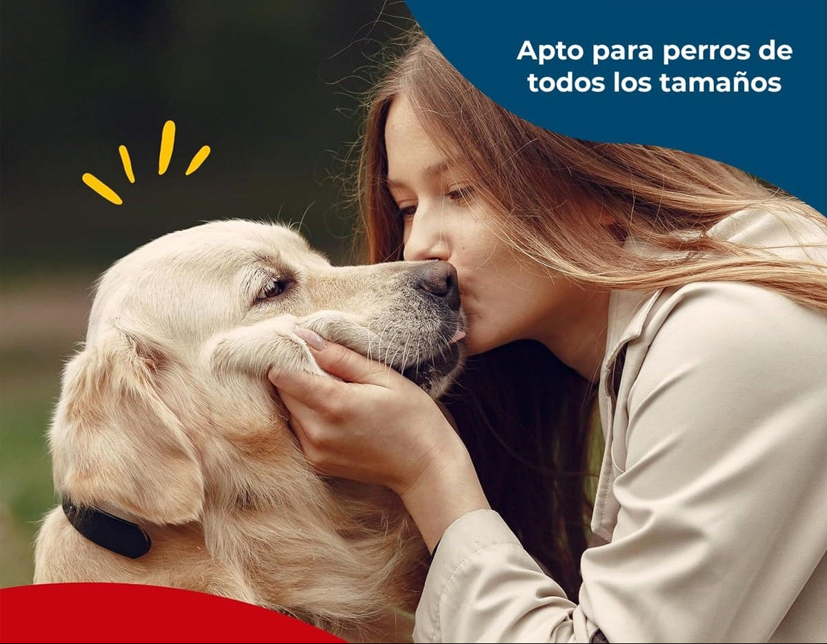 Premios para Perros Beefhide 5in Twist 1.41 oz