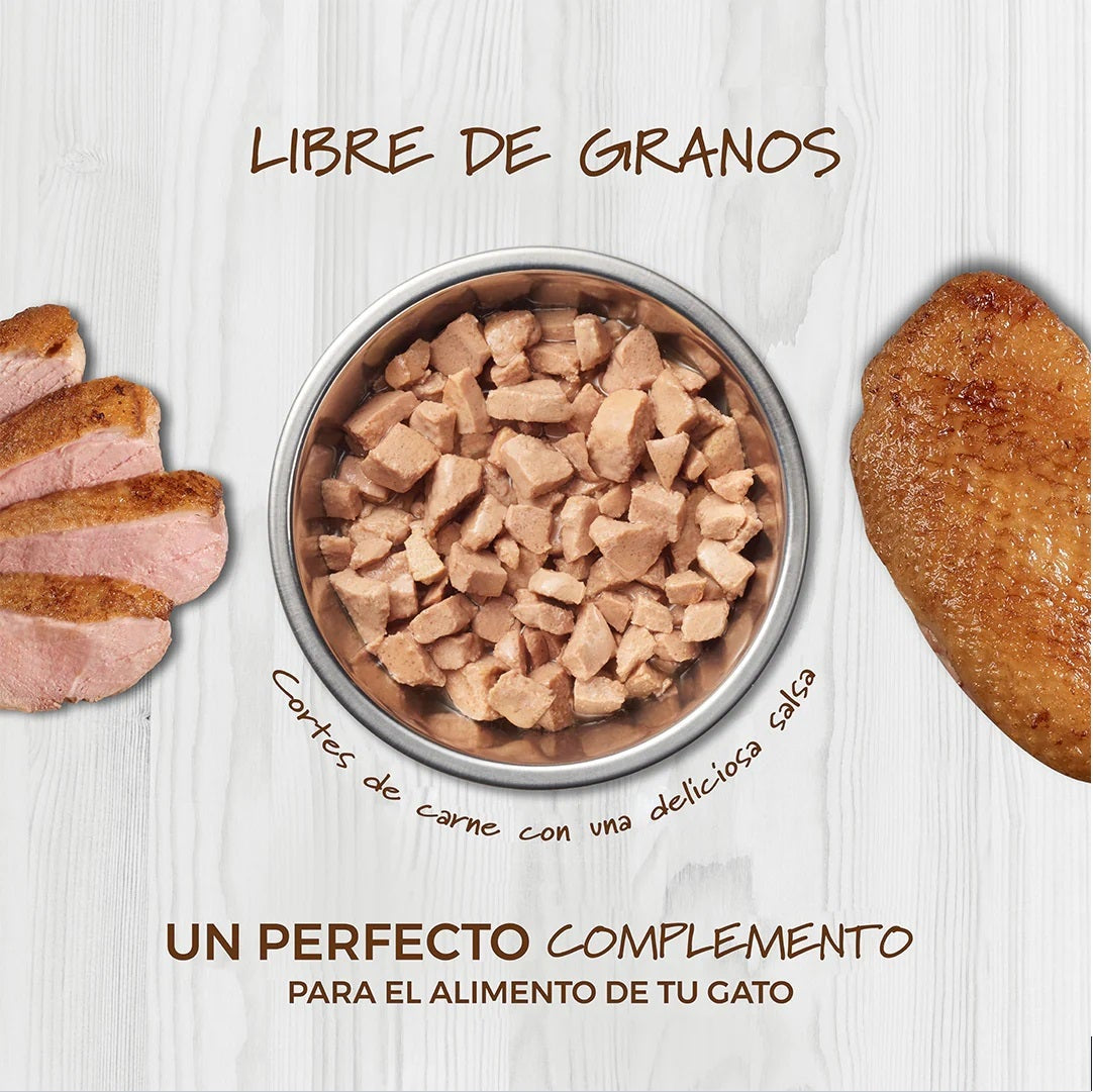 Alimento Húmedo Healthy Cravings Instinct Para Gato Sobre Sabor Salmón 85 g