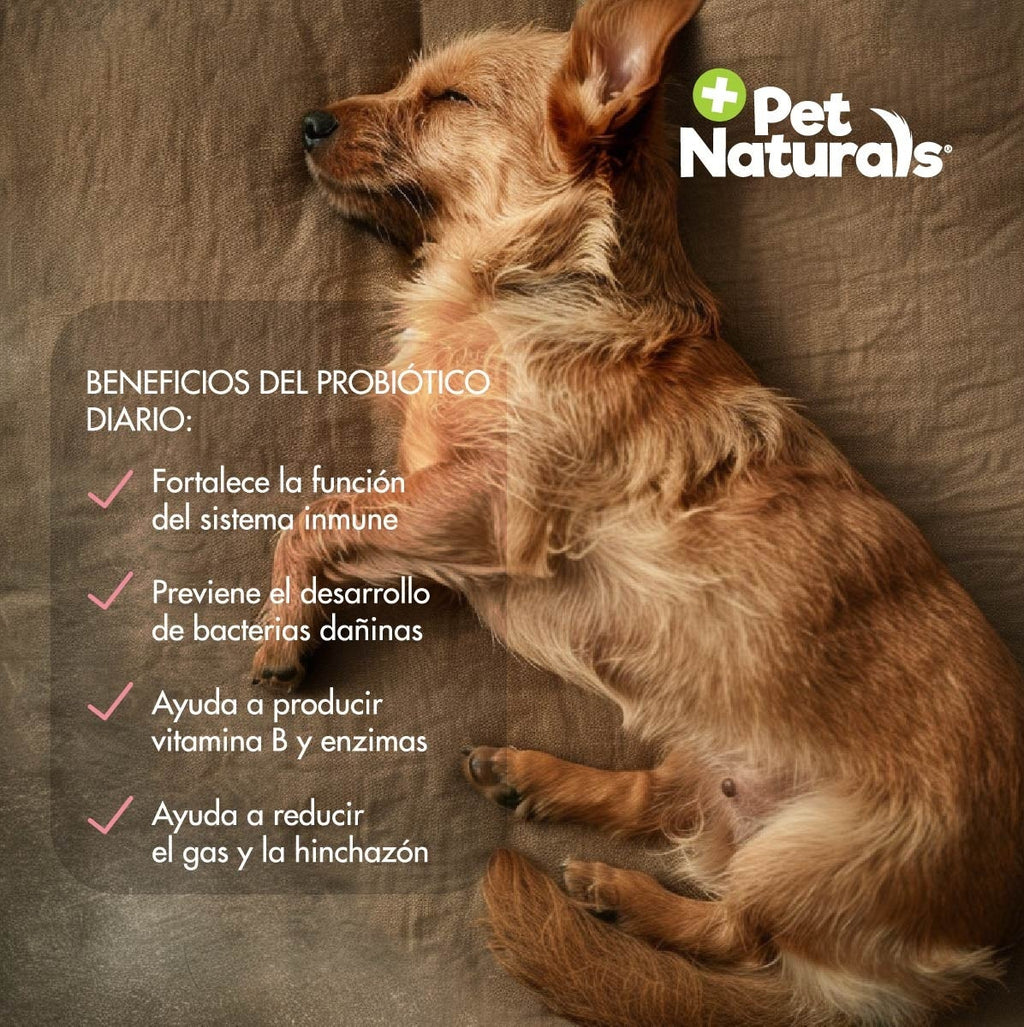 Daily Probiotic Para Perros