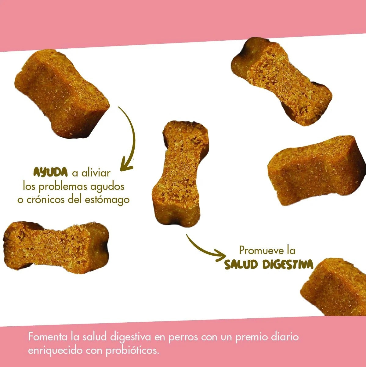 Daily Probiotic Para Perros