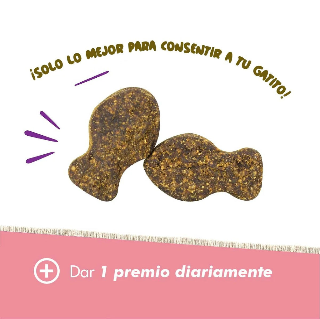 Daily Probiotic Para Gatos