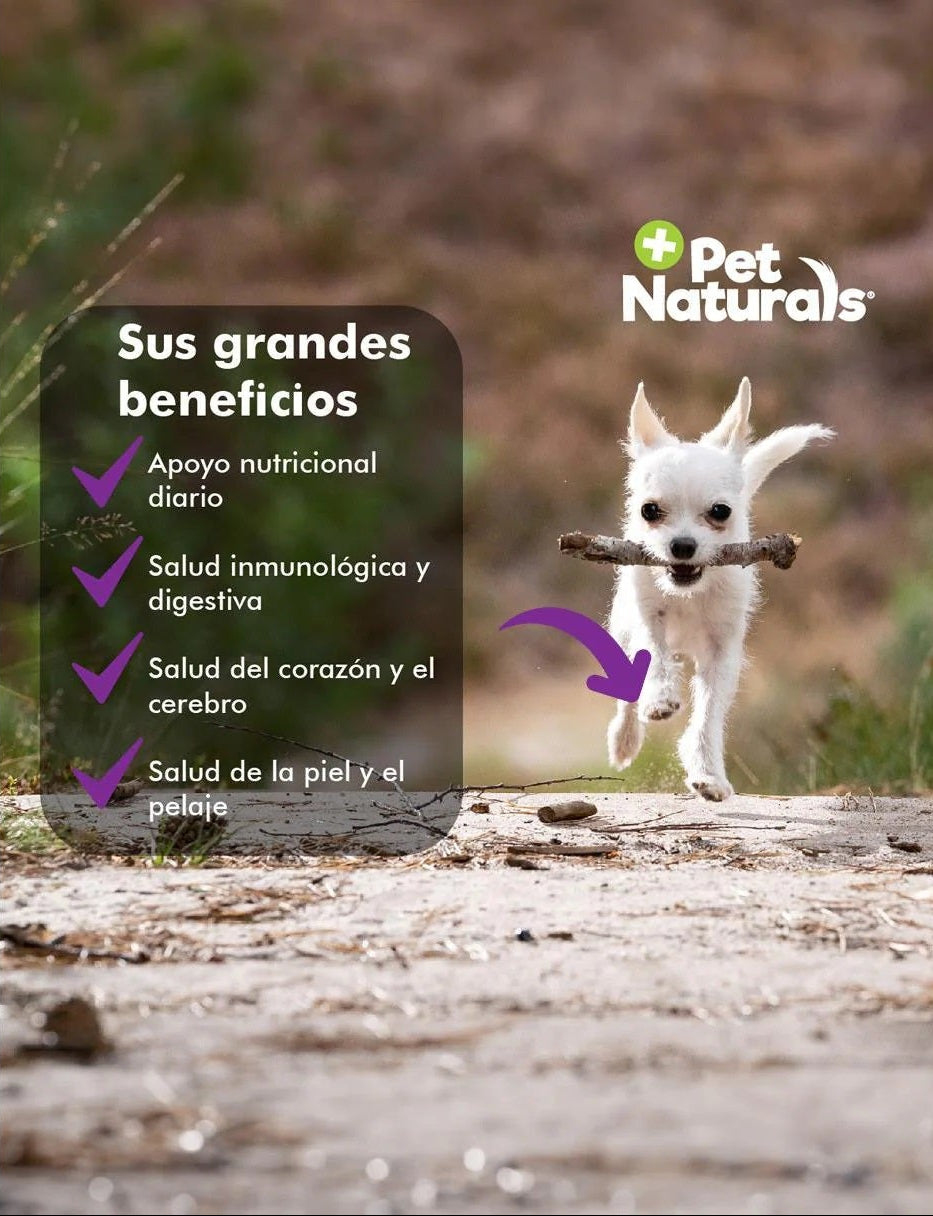 Daily Multi Vitaminas Para Perros