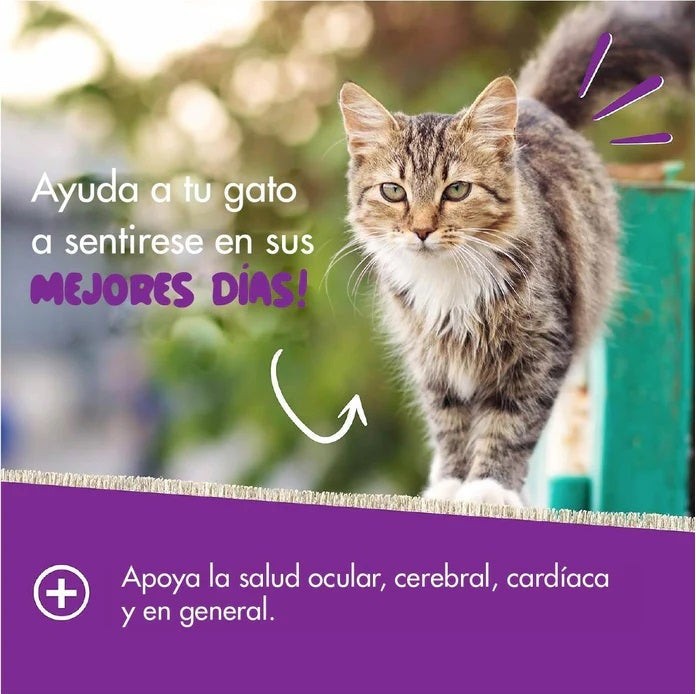 Daily Multi Vitaminas Para Gatos