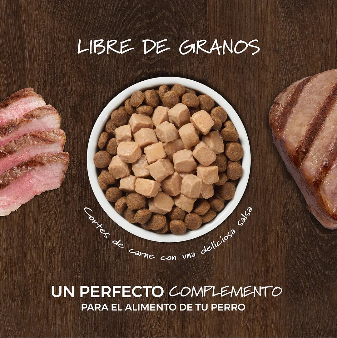 Alimento Healthy Cravings Para Perro Pack 12 sobres de 85 g