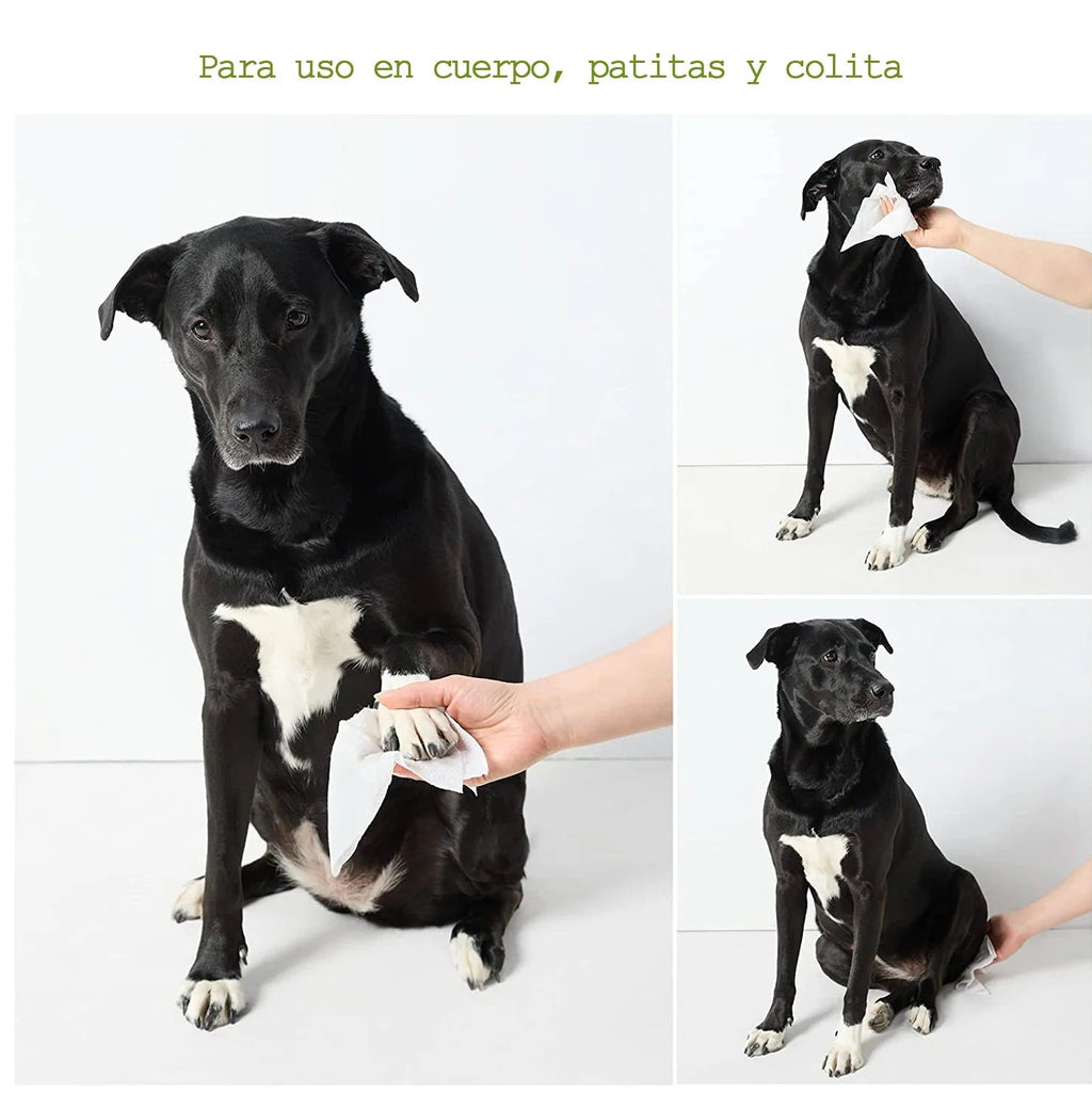 Toallitas Húmedas para Perros, Hipoalergénicas y Libres de Parabenos, Aroma Lavanda con 100 pzs