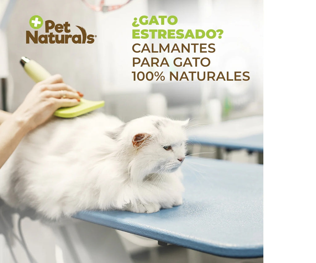 Calmantes para Gatos