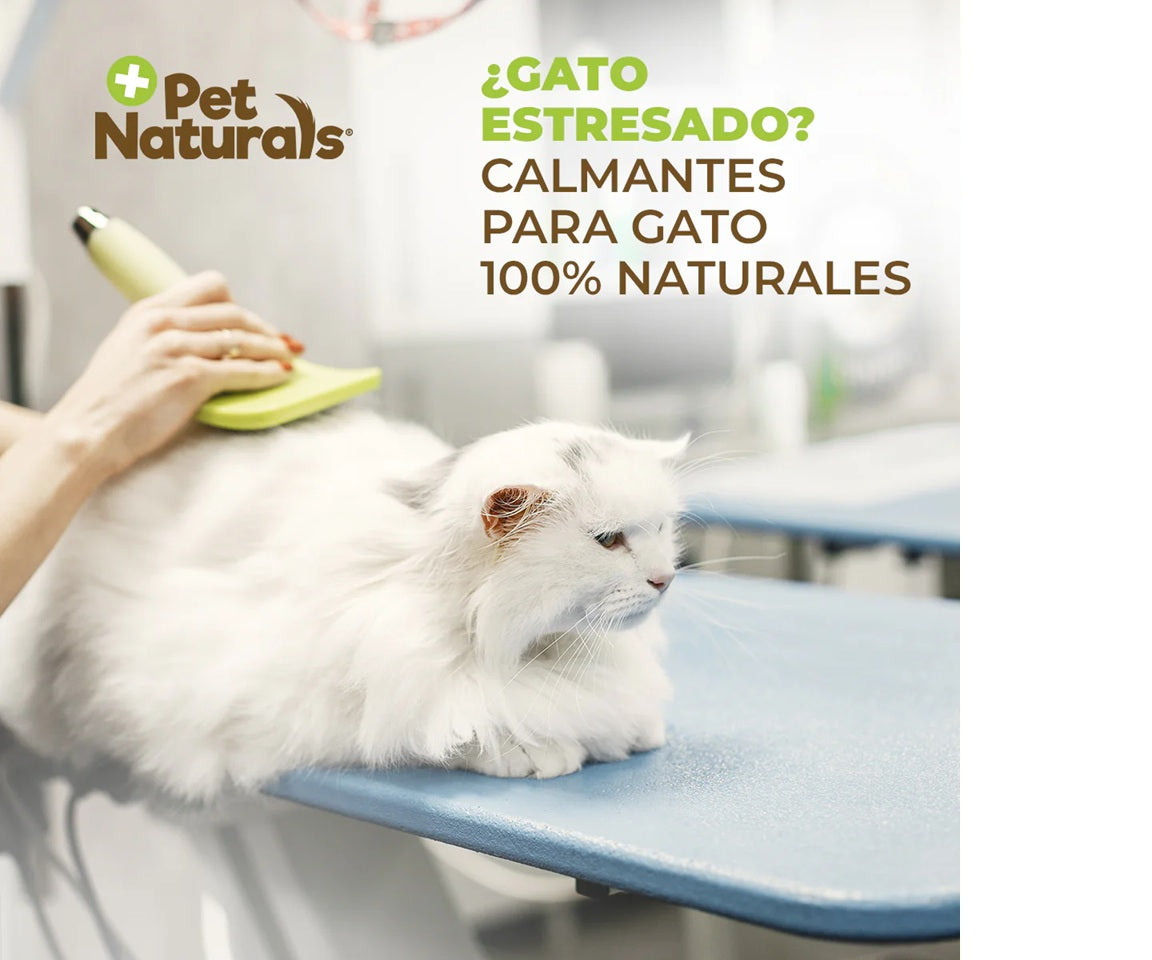 Calmantes para Gatos