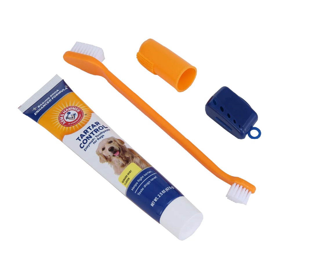 Arm & Hammer Kit Pasta Dental para Perro, Elimina Sarro y Mal Aliento, Sabor Plátano con Menta 3pzas