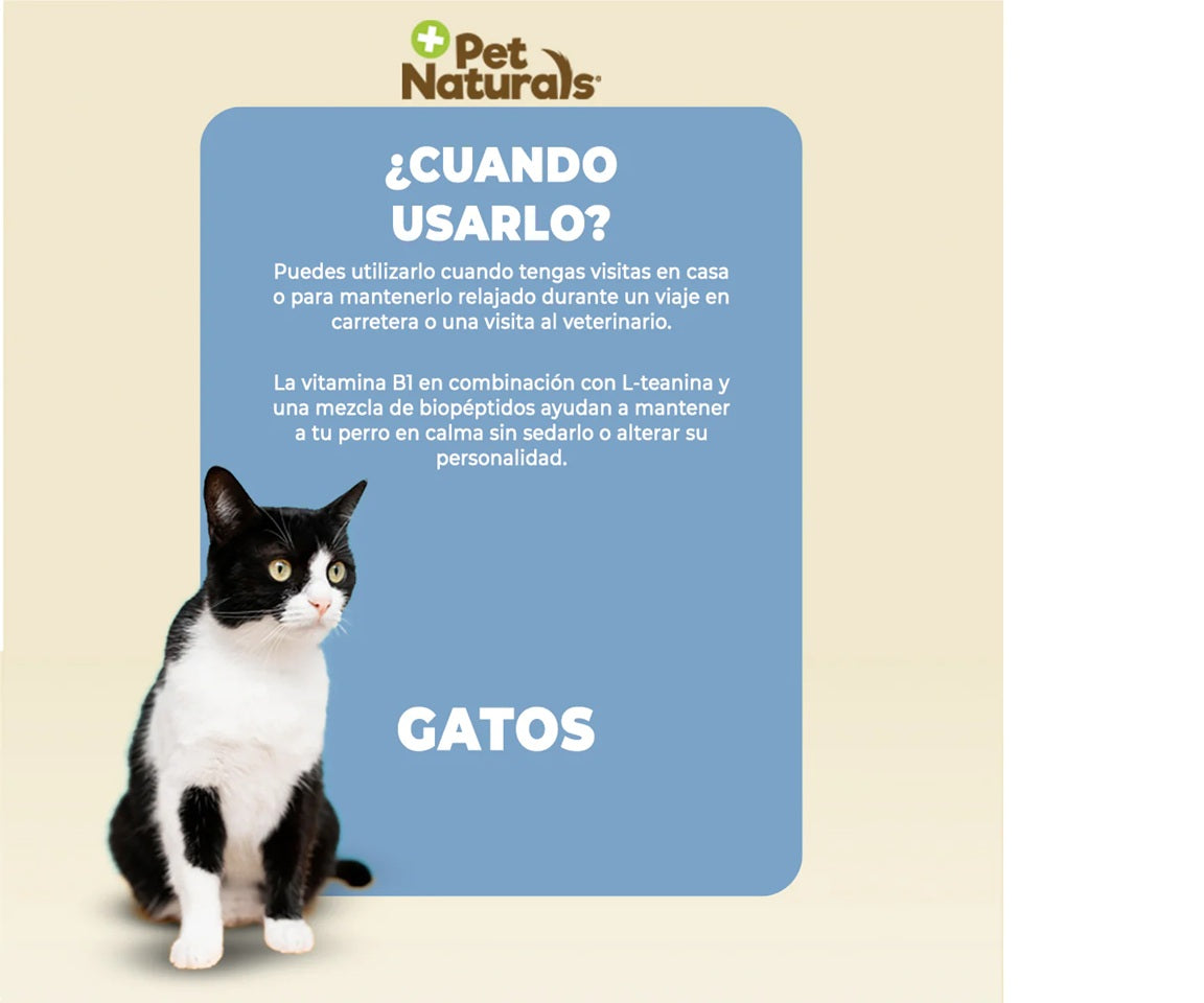 Calmantes para Gatos