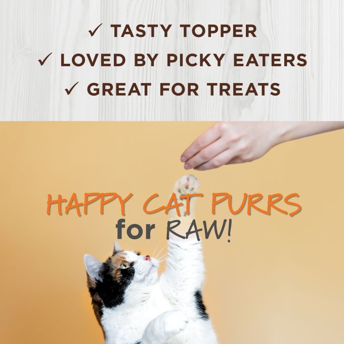 Instict Raw Boost Mixers Topper Natural Liofilizado para Gato