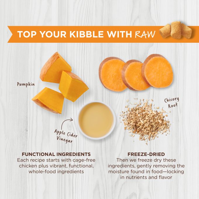 Instict Raw Boost Mixers Topper Natural Liofilizado para Gato