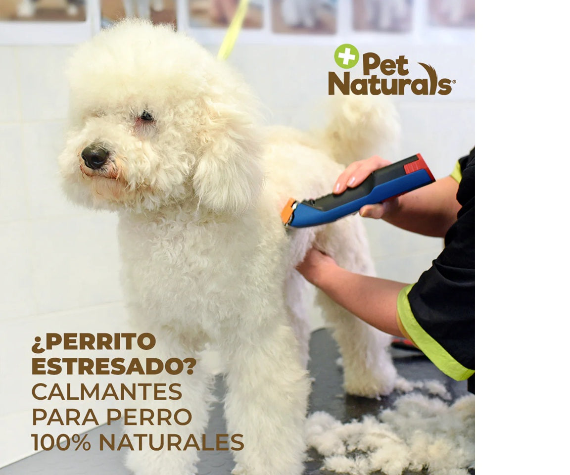 Calmantes para Perros Medianos y Grandes