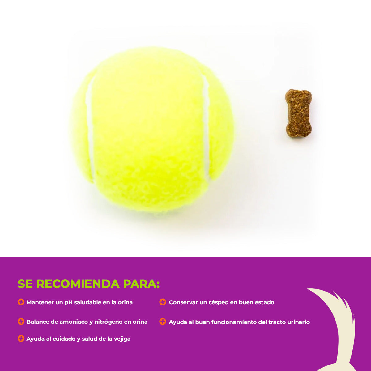 LAWN AID para Perros
