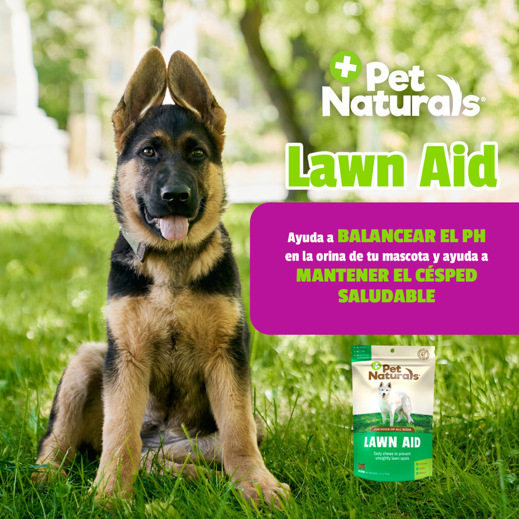 LAWN AID para Perros