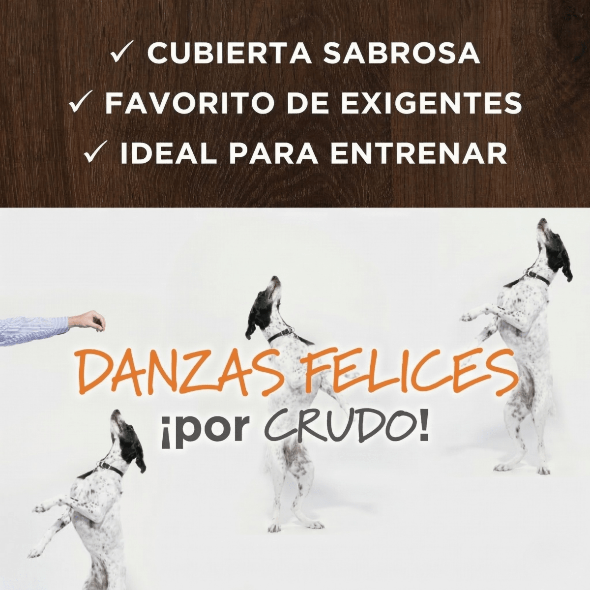 Instinct Raw Boost Mixers Piel y Pelaje Sanos para Perro